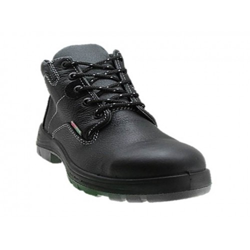 van zapato