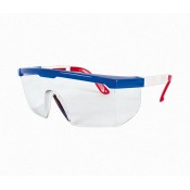 LENTES Y MONOGOGLES (23)